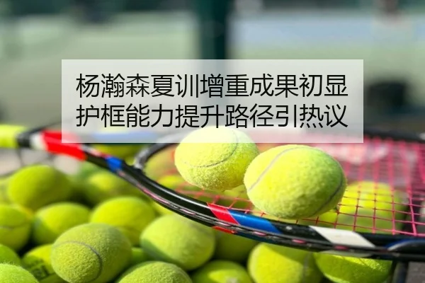 杨瀚森夏训增重成果初显 护框能力提升路径引热议