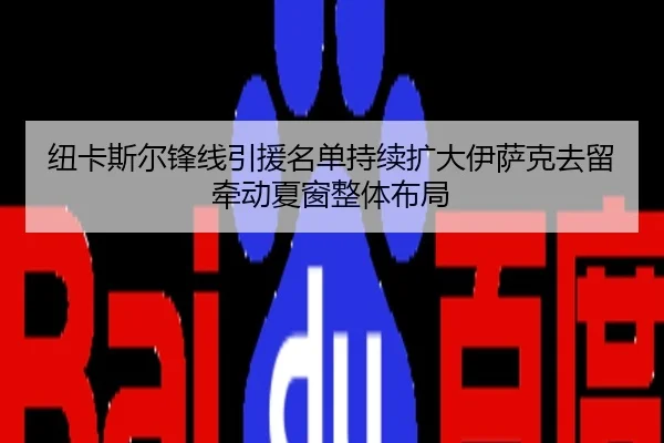 纽卡斯尔锋线引援名单持续扩大伊萨克去留牵动夏窗整体布局